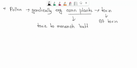losey-thought-about-the-changes-that-had-occurred-the-monarchs-environment-in-the-dast-20-vears-and-zeroed-that-might-be-involved-bt-corn-ar-the-time-roughly-quarter-of-the-corn-planted-in-t-41738