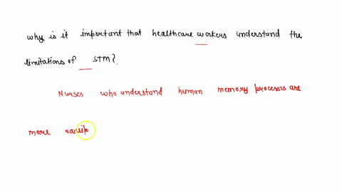 why-is-it-important-that-healthcare-workers-understand-the-limitations-of-stm-how-can-you-use-this-knowledge-to-provide-better-healthcare-66446
