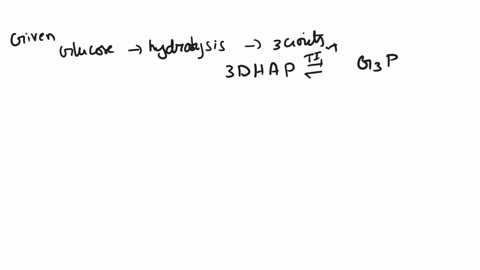 during-glycolysis-glucose-in-cleaved-intro-two-3-carbon-units-dhap-dihydroxyacetone-phosphate-and-g3p-glyeraldehyde-3-phosphate-both-of-which-can-be-utilized-for-energy-because-an-enzyme-tim-56559
