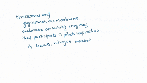 question-an-organelle-contains-enzymes-that-convert-hydrogen-peroxide-to-water-and-oxygen-peroxisome-lysosome-ribosome-chloroplast-83206