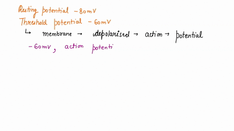 assume-that-a-resting-potential-of-a-neuron-is-80mv-and-that-the-threshold-potential-is-60mv-calculate-the-membrane-potential-value-following-stimuation-by-the-following-combination-of-excit-89668
