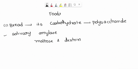 where-are-the-following-foods-found-in-the-pizza-chemically-digested-within-the-gastrointestinal-tract-breadcheesepepperoni-06643