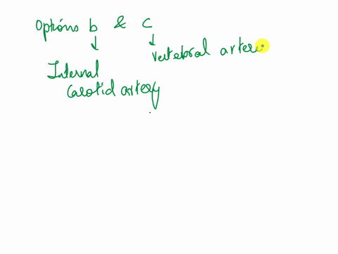 which-of-the-following-arteries-supply-blood-directly-to-the-brain-select-all-that-apply-select-one-or-more-a-external-carotid-artery-b-internal-carotid-artery-c-vertebral-artery-d-superfici-68581
