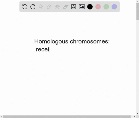homologous-chromosomes-were-formed-when-they-separated-during-anaphase-are-a-set-of-chromosomes-that-the-cell-received-from-one-parent-carry-the-same-gene-locus-always-carry-identical-varian-80881