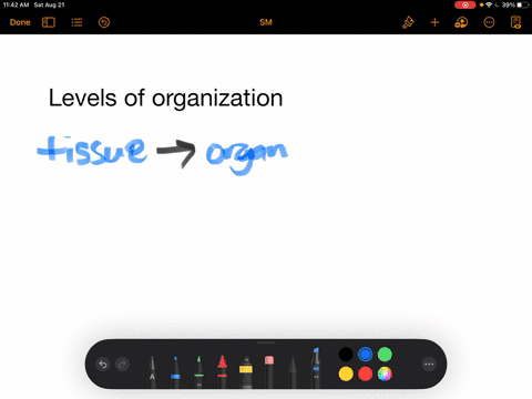 the-level-of-organization-that-includes-cells-of-similar-structure-and-function-is-a-an-organ-b-a-tissue-c-an-organ-system-d-an-organism-2