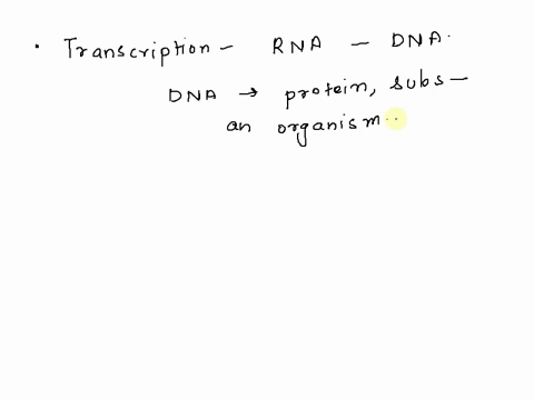 what-type-of-rna-is-synthesized-during-transcription-mrna-trna-rrna-mrna-rrna-and-trna-85538