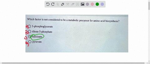 which-factor-is-not-considered-to-be-metabolic-precursor-for-amino-acid-biosynthesis-3-phosphoglycerate-ribose-s-phosphate-succinate-pyruvate-16003