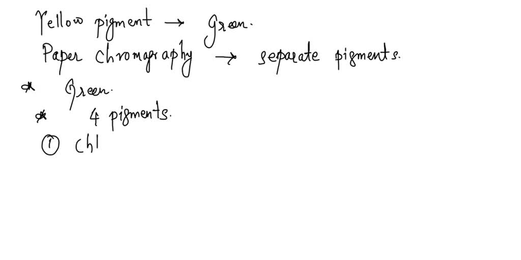 SOLVED Texts Why were chloroplasts selected for the pigment