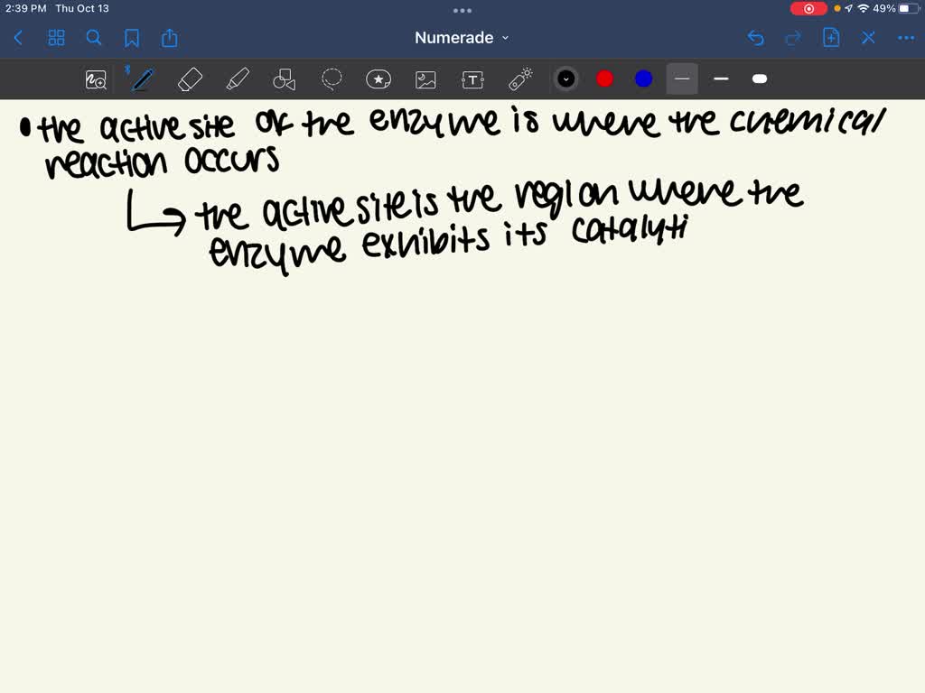 SOLVED The active site of an enzyme is the region that . A) binds