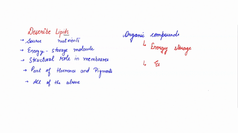 which-of-the-following-describes-lipids-a-a-source-of-nutrients-for-organisms-b-energy-storage-molec-23449