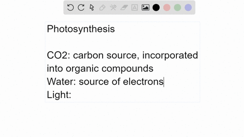 what-are-the-main-inputs-reactants-required-for-overall-photosynthesis-where-are-they-used-in-the-individual-process-why-do-plants-require-light-to-perform-photosynthesis-what-is-the-mechani-55445