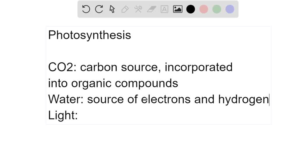 SOLVED What are the main inputs (reactants) required for overall