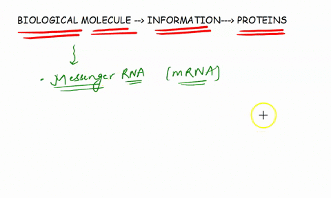 what-biological-molecule-provides-information-to-make-proteins-66605