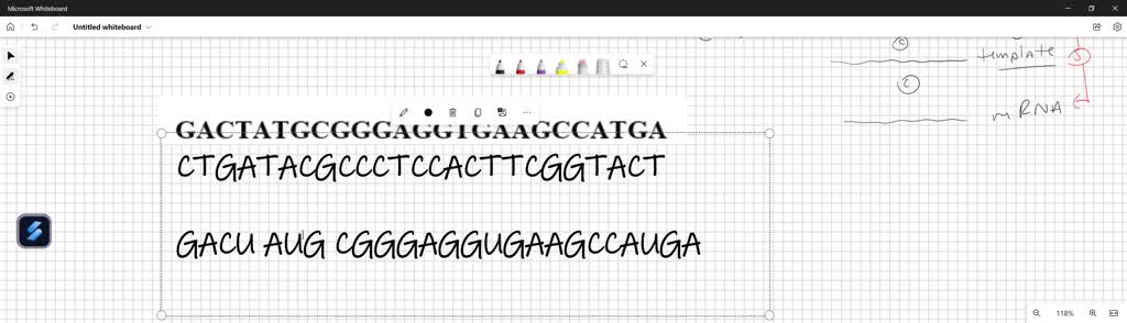 Consider the given sequence: the DNA sense strand (coding strand):
2nd base in codon U C A G Phe Ser In the spaces provided below: Phe Ser %o S5 Leu Ser 0 Write the DNA complement to this sequence. pt:) 1 Leu Ser STOP Leu Pro H b. Write what the mRNA sequence would be. (2 pts ) Leu G 8 Leu Leu Pro Gln 1 Indicate the start codon: What would the anti-codon 1 Asn be? Which type of RNA contains the anti-codon? 1 pts:) Met 1 5 Val Val Using the genetic code provided write the amino Val Ss2 @ acids that would result from this mRNA pts:) Val Ala Glu Gly Genetic Code What would happen if the fourth A in the DNA sense strand was mutated to a T? (1 pt:)
GACTATGCGGGAGGTGAAGCCATGA