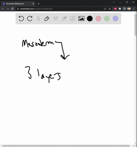 hypothesize-what-might-happen-to-an-embryo-that-suffers-damage-to-some-mesoderm-cells-38402