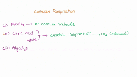 several-terms-related-to-cellular-respiration-are-listed-match-each-term-to-the-appropriate-definition-answer-bank-electron-carrier-molecule-fadhz-citric-acid-cyele-the-first-step-in-aerobic-97413