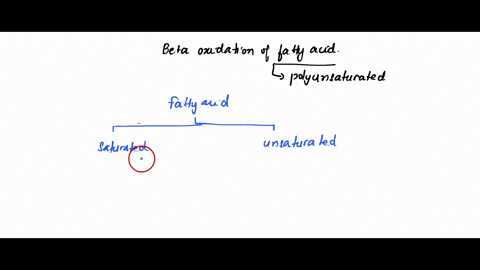 beta-oxidation-of-naturally-occurring-polyunsaturated-fatty-acids-requires-two-enzymes-that-beta-oxidation-of-fully-saturated-fatty-acids-does-not-require-what-are-the-names-of-these-enzymes-55946