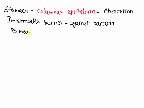 which-of-the-following-statements-supports-the-claim-that-the-stomach-carries-out-its-activities-as-a-result-of-the-integrated-activity-of-its-tissues-choose-1-answer-choose-1-answer-choice-15427