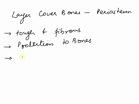 133-pts-bones-are-covered-and-lined-by-a-protective-tissue-called-periosteum-the-inner-osteogenic-layer-consists-primarily-of-chondrocytes-and-osteocytes-cartilage-and-compact-bone-osteogeni-26914