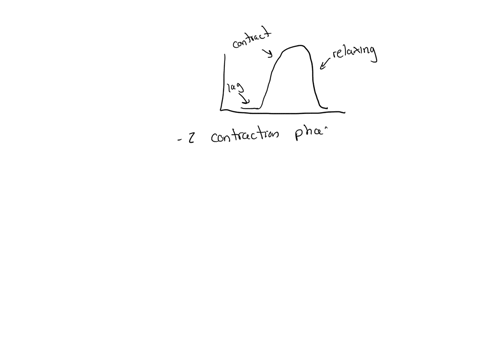 select-whether-each-of-the-following-events-occur-during-the-latent-contraction-or-relaxation-phase-within-a-skeletal-muscle-cell-select-never-if-the-event-never-occurs-question-options-tropomyosin-mo