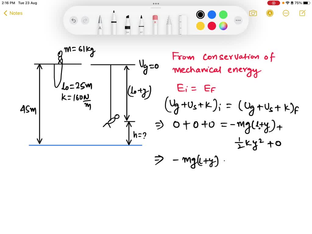 SOLVED 9.) A 61 kg bungeecord jumper is on a bridge 45 m above the