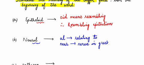 handout-28-vocabulary-enhancement-the-following-terms-did-not-appear-in-the-text-but-are-composed-of-word-parts-studied-in-this-chapter-find-their-definitions-by-translating-the-word-parts-l-66145