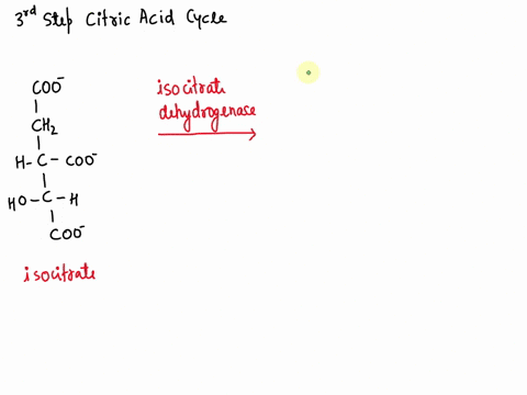 the-third-step-of-the-citric-acid-cycle-is-catalyzed-by-the-enzyme-isocitrate-dehydrogenase_-draw-the-product-of-the-reaction_-showing-all-the-carbonyl-groups-in-their-ionized-form-coo-by-us-49927