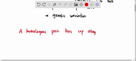 the-process-of-meiosis-is-responsible-for-creating-much-of-the-genetic-variation-seen-in-sexually-reproducing-organz-which-events-in-the-process-of-meiosis-generate-this-genetic-variability-40378