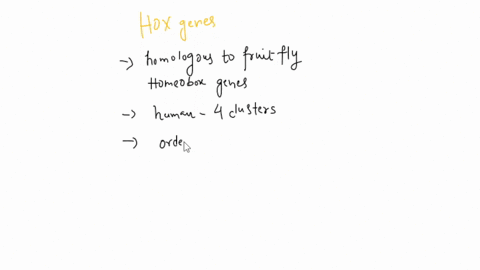 choose-the-false-statement-regarding-hox-genes-they-are-homologous-to-fruit-fly-homeobox-genes-b-humans-have-4-clusters-of-hox-genes_-c-hox-gene-expression-in-the-anterior-posterior-neural-t-67005