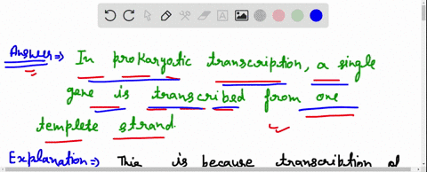 which-of-the-following-statements-is-true-regarding-transcription-in-prokaryotic-organisms-group-of-answer-choices-a-transcription-is-always-conservative-b-a-single-gene-is-transcribed-from-09972