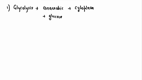 what-is-the-equation-for-cellular-reparation-draw-a-schematic-of-cellular-respiration-including-all-stages-of-cellular-respiration_-include-important-terms-such-as-anaboliccatabolic-aerobic-69057