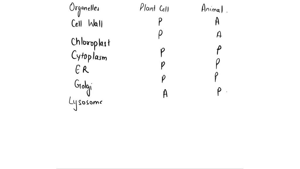 solved-organelles-are-found-in-put-check-in-the-appropriate-column