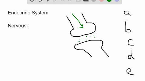 question-34-2-points-saved-which-of-the-following-is-true-for-the-endocrine-system-but-not-the-nervous-system-majority-of-chemical-signals-sent-to-other-cells-are-sent-in-the-form-ofaction-p-25711