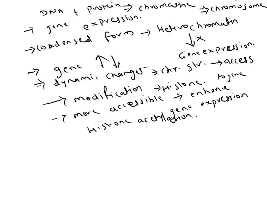 Sirt1dependent Regulation Of Chromatin And Transcription Linking Nad