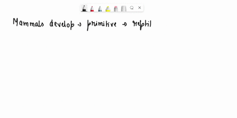 question-1-match-the-following-events-t0-the-dates-mammals-develop-from-primirive-mammil-mke-reptlcs-chooso-crctaceous-cxtinction-choosc-rcplacement-0f-forest-bn-savanny-choose-hominid-spllt-83442