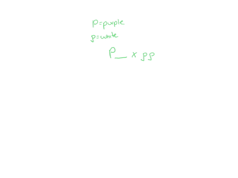 1-the-dominant-allele-for-flower-color-in-pea-plants-is-p-plants-with-the-dominant-phenotype-have-purple-flowers-the-recessive-allele-is-p-plants-with-the-recessive-phenotype-have-white-flow-93772