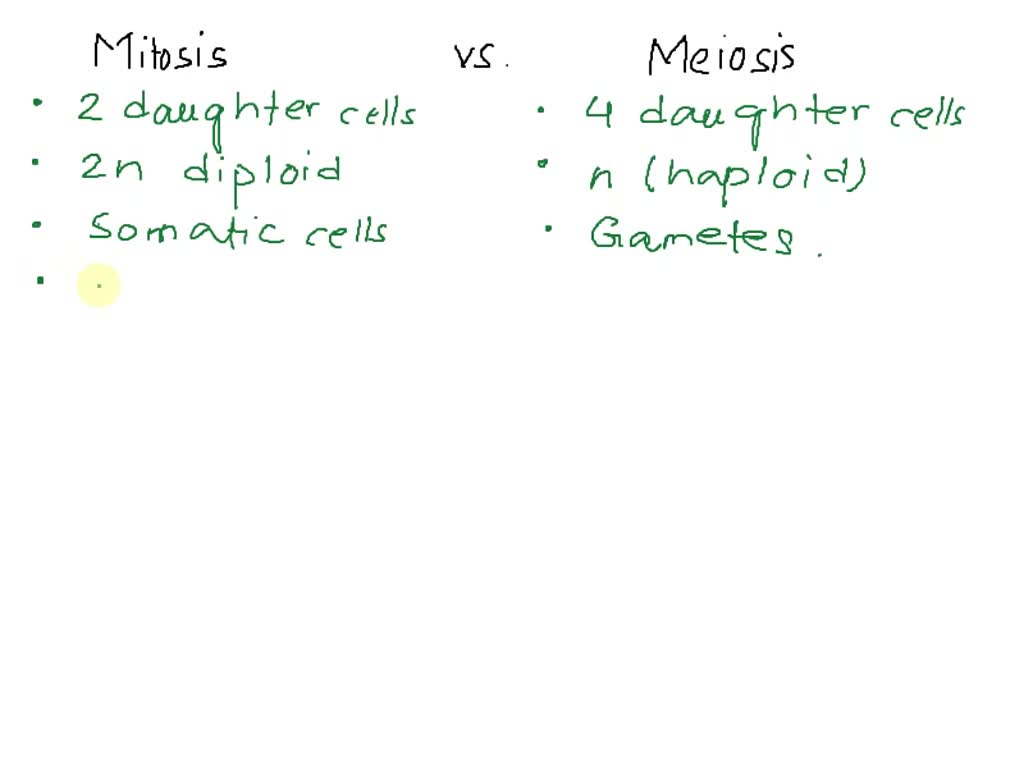 SOLVED Within the human body, some cells undergo mitosis cytokinesis