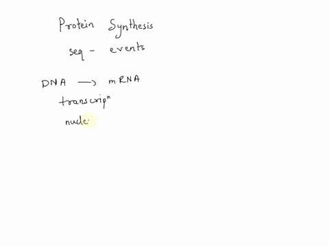 the-following-statements-apply-to-the-process-of-protein-synthesis-identify-the-statement-that-is-correct-multiple-copies-of-mrna-can-be-simultaneously-transcribed-from-the-same-dna-template-54045