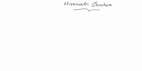 which-of-the-following-statements-concerning-chromatin-structure-is-false-a-histones-have-a-positive-charge-b-negative-supercoiling-can-enhance-activities-like-replication-and-transcription-29074