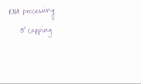 name-and-describe-three-mechanisms-of-rna-processing-in-eukaryotes-and-explain-their-importance-to-t-58291