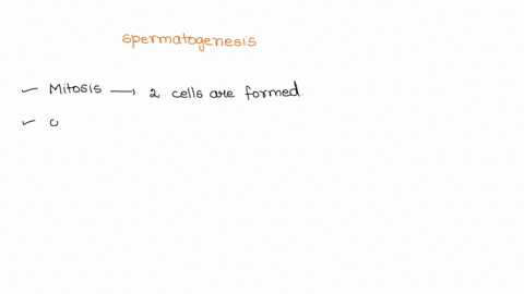 put-the-steps-ofthe-process-of-spermatogenesis-in-the-proper-sequence-1-4-late-spermatids-develop-into-immature-sperm-diploid-spermatogonium-cells-undergo-mitosis-form-primary-spermatids-sec-17526