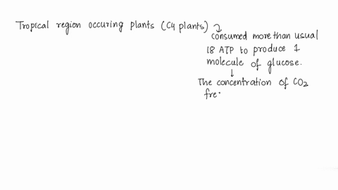 why-are-plants-that-consume-30-atp-molecules-to-produce-one-molecule-of-glucose-rather-than-the-usual-18-molecules-of-atp-per-glucose-molecule-favored-in-hot-climates-but-not-in-cold-climate-17541