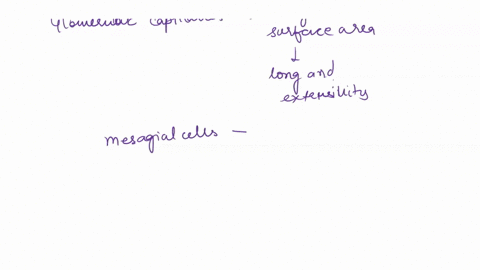 why-is-there-much-greater-filtration-through-glomerular-capillaries-than-through-capillaries-elsewhere-in-the-body-06415
