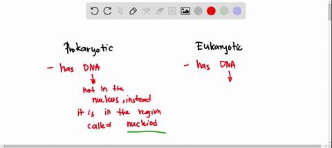 which-of-the-following-statements-best-describes-the-fundamental-difference-between-prokaryotic-and-eukaryotic-cells-1-eukaryotic-cells-have-ribosomes-whereas-prokaryotic-cells-do-not-have-r-24117