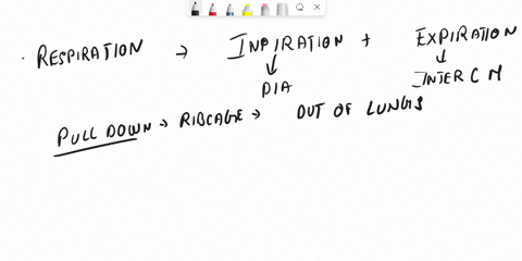 when-considering-the-inspirationexpiration-cycle-that-occurs-with-pulmonary-ventilation-the-internal-intercostal-muscles-have-a-role-in-the-process-of-while-external-intercostals-are-importa-78643
