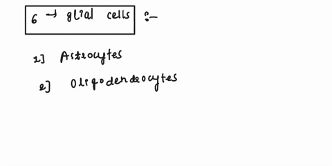 list-the-six-different-types-of-glial-cells-and-explain-their-functions-indicate-which-ones-are-found-in-the-cns-and-which-are-found-in-the-pns-42204