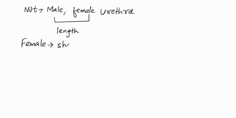 emaining-time-9-minutes-42-seconds-question-completion-status-question-1-what-is-not-true-regarding-the-urethra-it-has-an-internal-and-external-urethral-sphincter-associated-with-it-the-male-67992