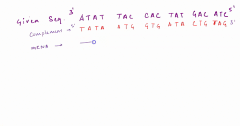 5-the-following-is-template-strand-for-one-single-strand-of-dna-atat-_-cac-mrna-a-u-a-trna-6-a-amino-acid-met-u-a-g-atat-promoter-sequence-gene-starts-at-start-codon-using-the-genetic-code-f-13066