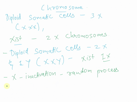 please-answer-will-give-thumbs-up-xist-gene-is-located-in-a-450-kb-region-of-dna-called-the-x-inactivation-center-xic-and-is-transcribed-only-from-the-future-inactive-x-chromosome-the-xist-n-14953