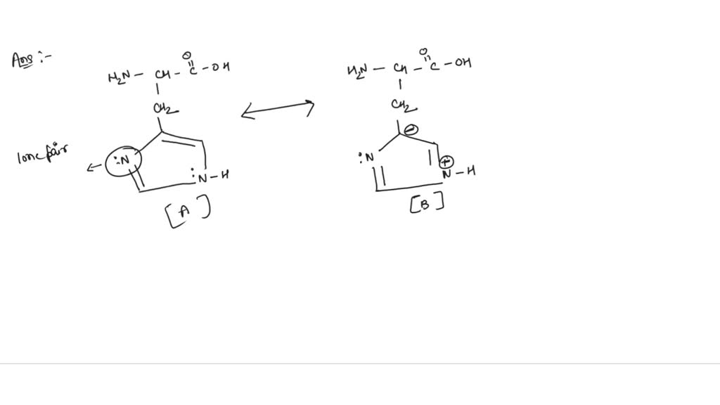 SOLVED The amino acid histidine contains an imidazole ring. The ring